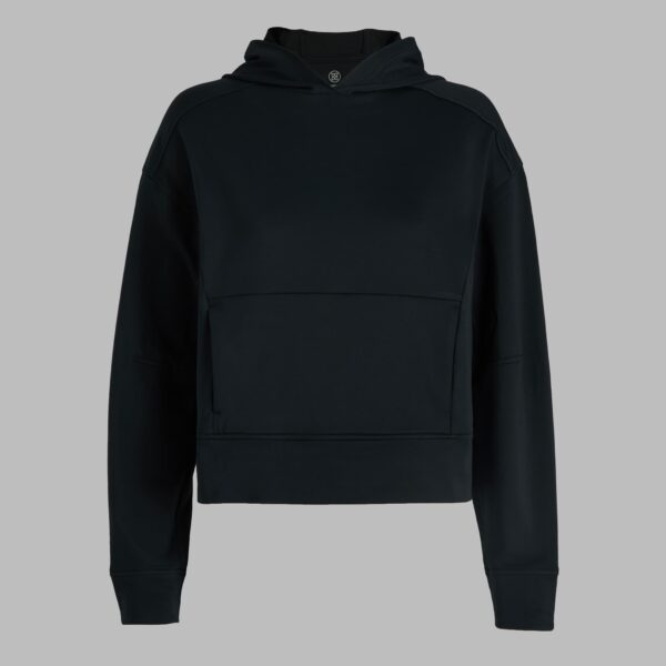 brushed back tech terry hoodie