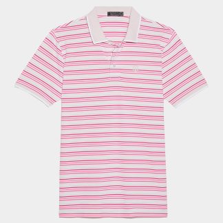 cinque terre rib collar tech piqué polo